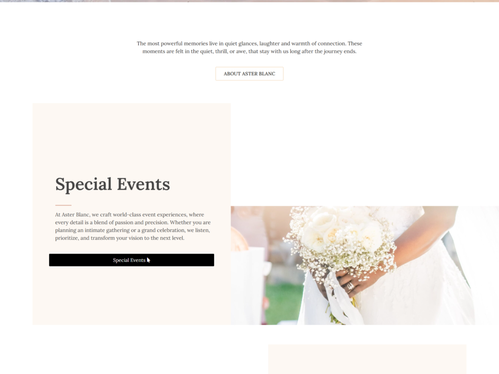 asterblanc website home page